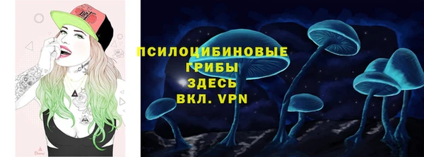 ECSTASY Дмитров