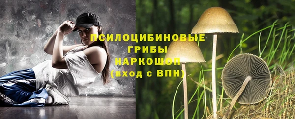 ECSTASY Дмитров