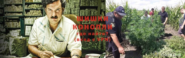 ECSTASY Дмитров