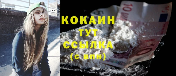 твердый Дмитриев