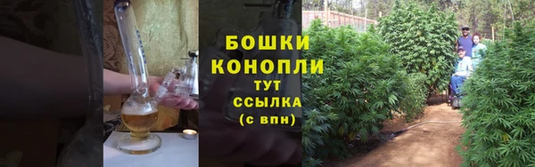 ECSTASY Дмитров